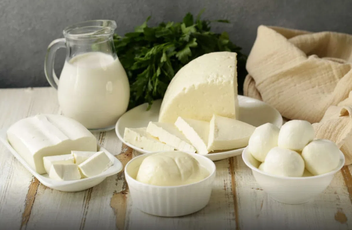Formaggi Freschi 10 g – Queso italiano | cultivo seco | fermento de queso | cuajo | bacterias de queso | bacterias de ácido láctico