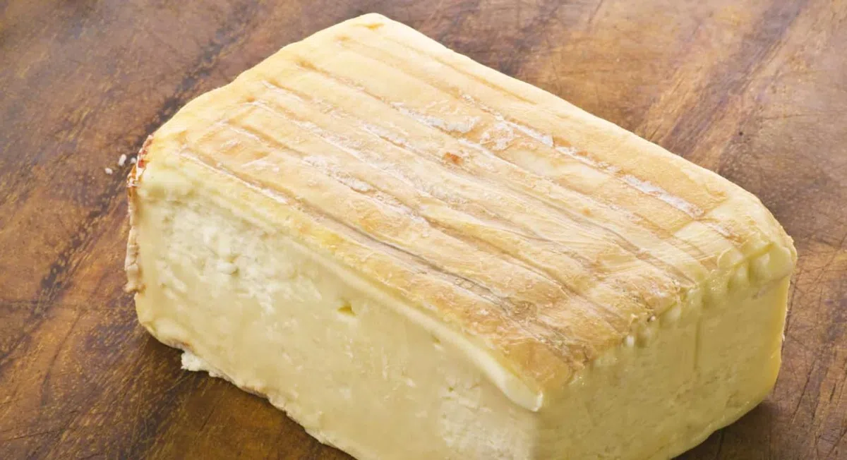 Taleggio, 10 g - Cultivo de Queso | Queso Italiano | Cultivo seco | Fermentación de Queso | Cuajo | Bacterias del Queso | Bacterias de ácido láctico