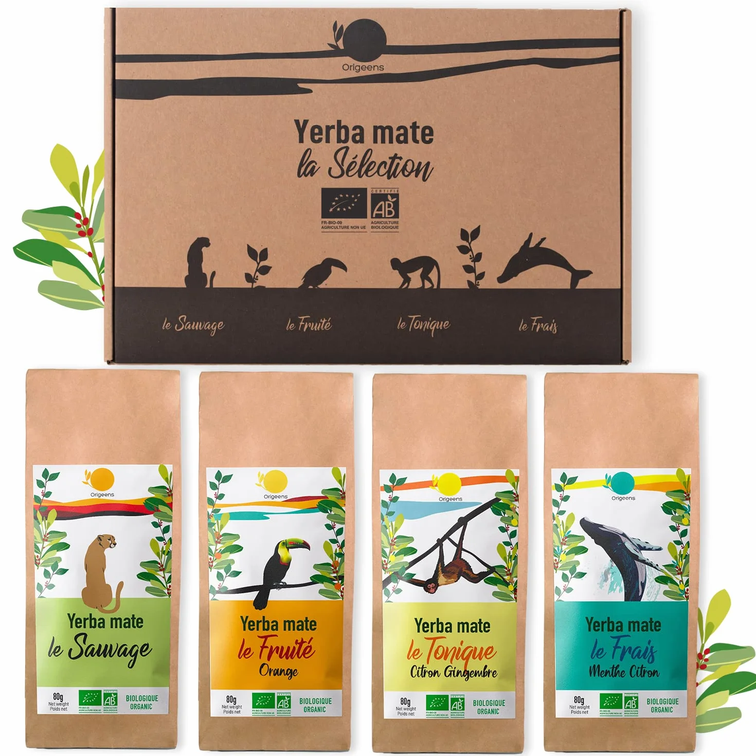ORIGEENS CAJA MATE ECOLOGICO X 4 | Yerba Mate ecológico 4x80gr | Set mate, idea regalo